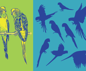 Silhouettes Parrots