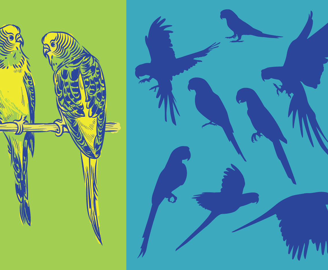 Silhouettes Parrots