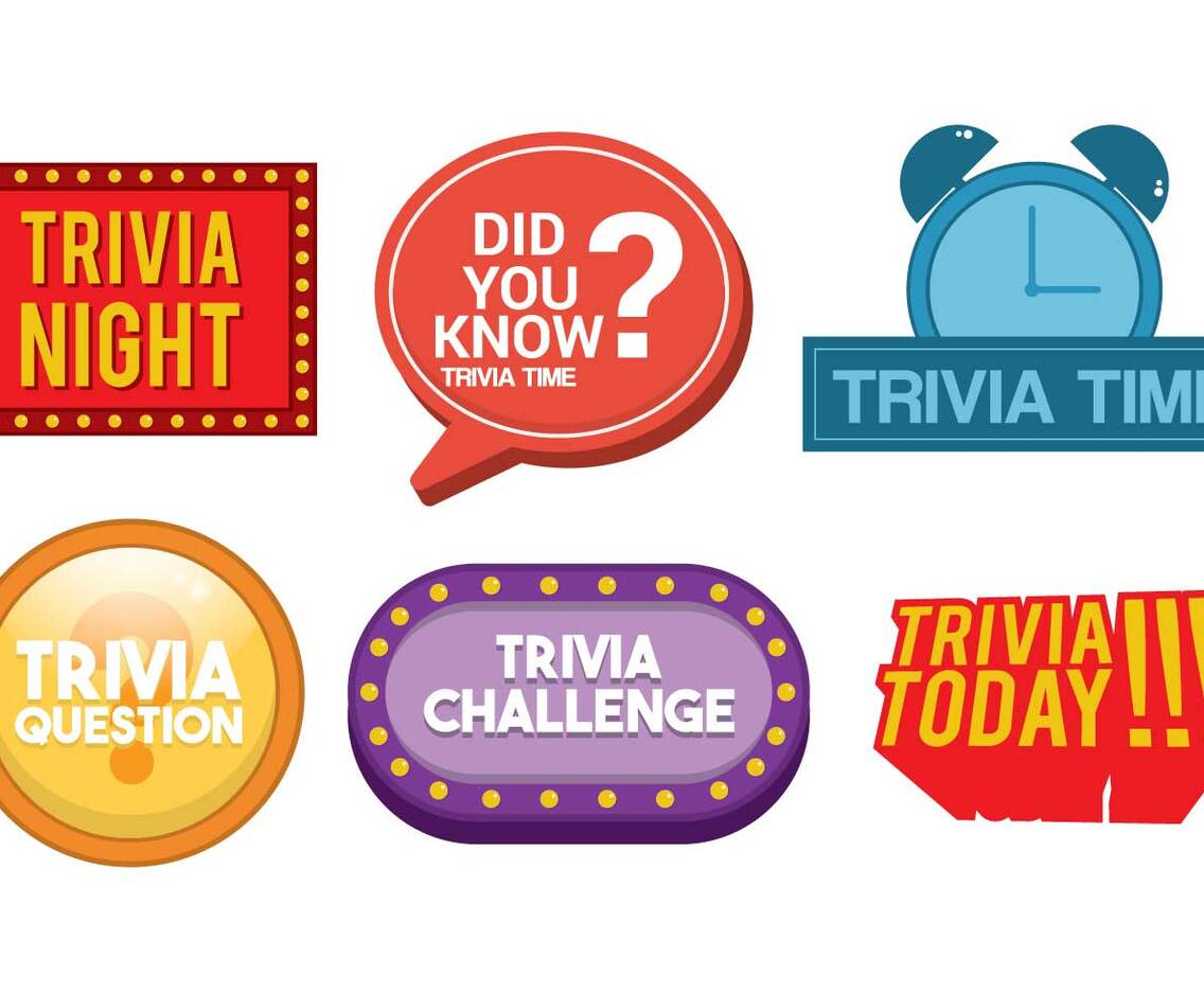 Trivia Vector