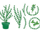 Thyhme Vector