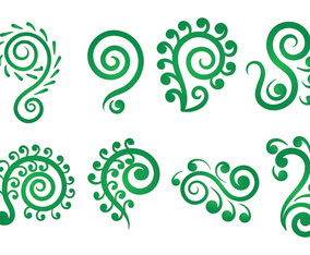 Koru Vector