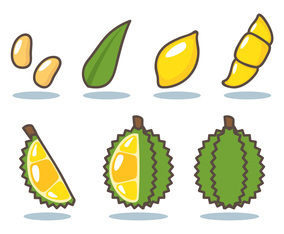 Durian Vector