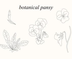 Botanical Pansy