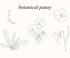 Botanical Pansy
