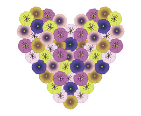 Pansy Heart