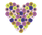 Pansy Heart