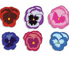 Pansy Vector