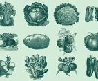 Vintage Vegetables