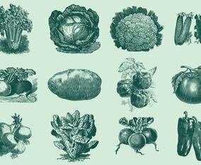 vintage gloves galore - 4845 Free Vectors to Download | FreeVectors