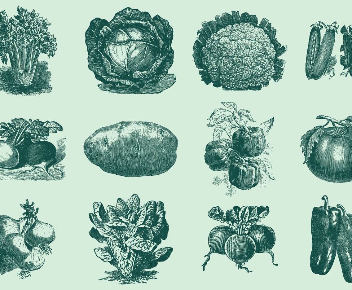 Vintage Vegetables