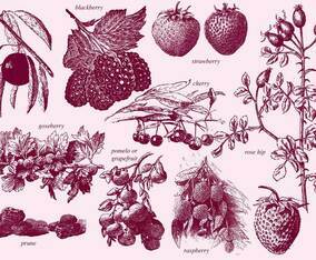 Vintage Berries