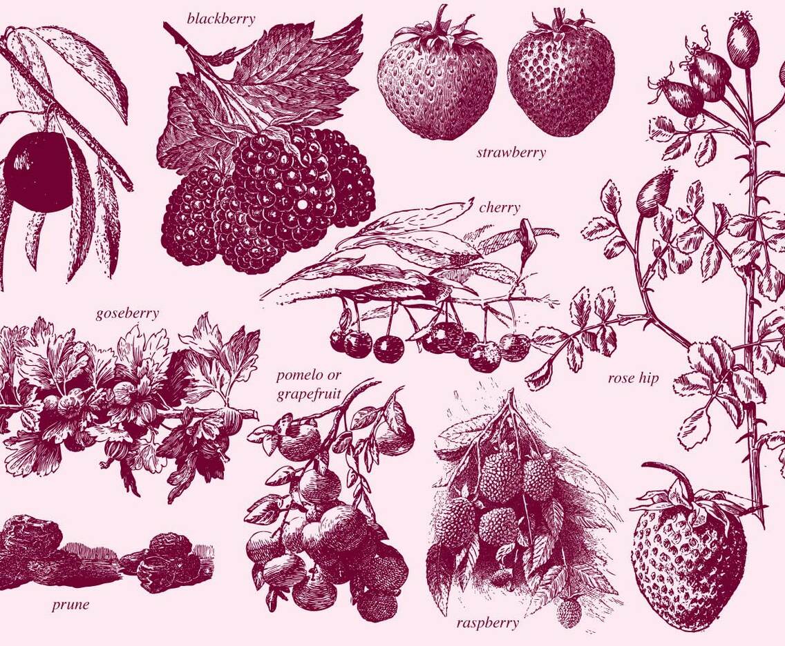 Vintage Berries