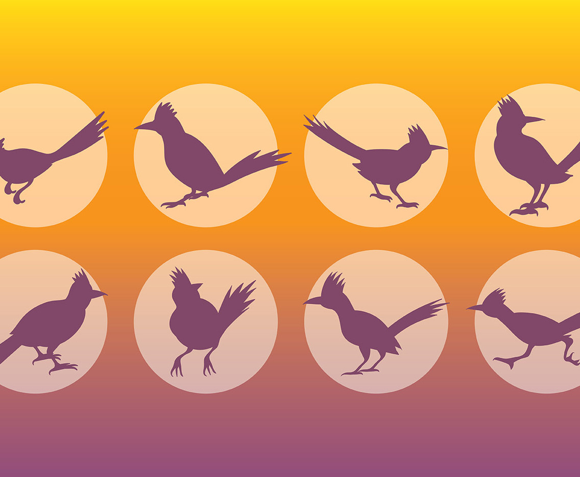 Free Roadrunner Icons Vector