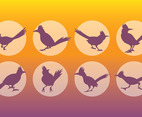 Free Roadrunner Icons Vector