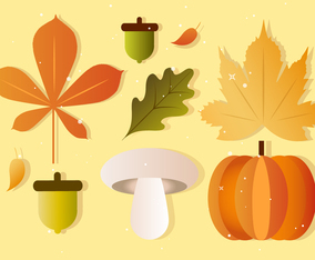 Free Vector Fall Autumn Elements