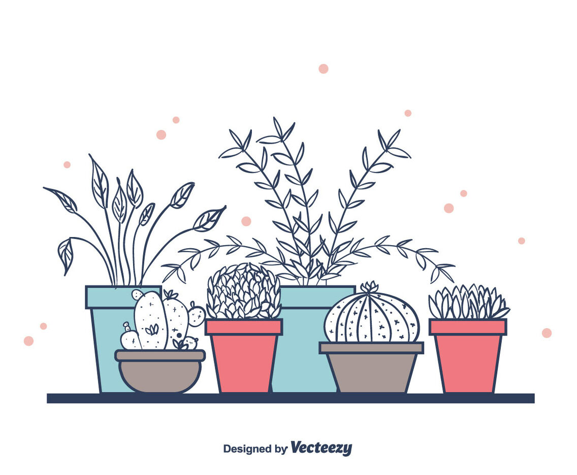 House Plants In Pots