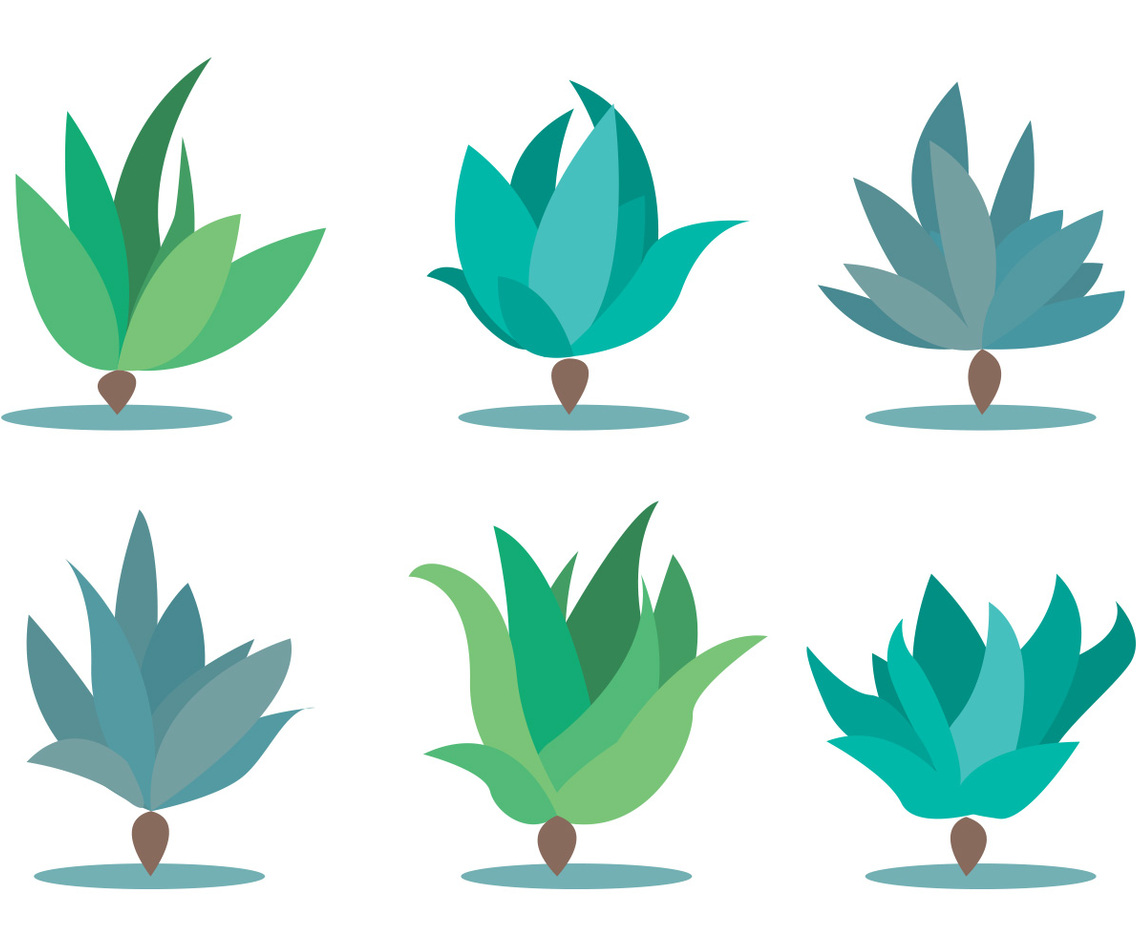 Maguey Vector Set