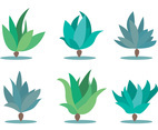 Maguey Vector Set