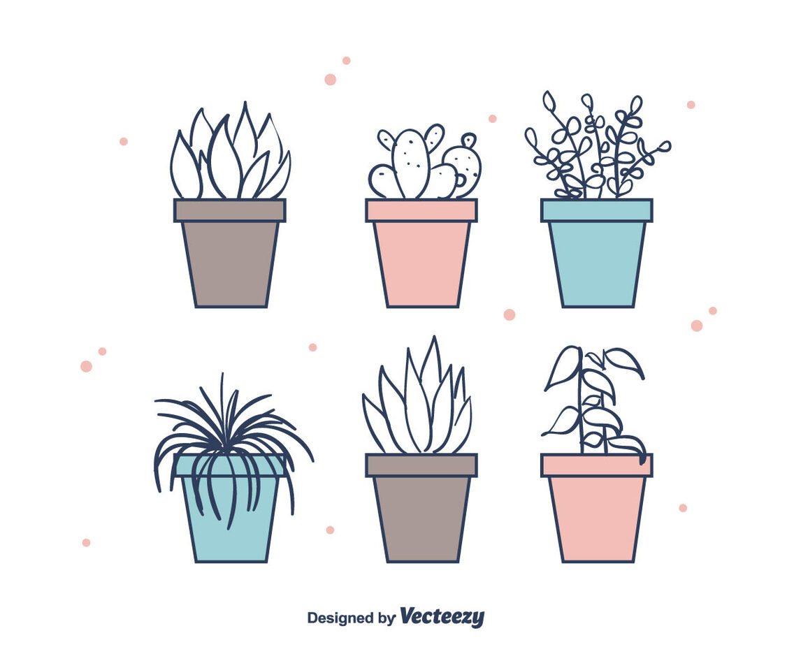 House Plants Vector