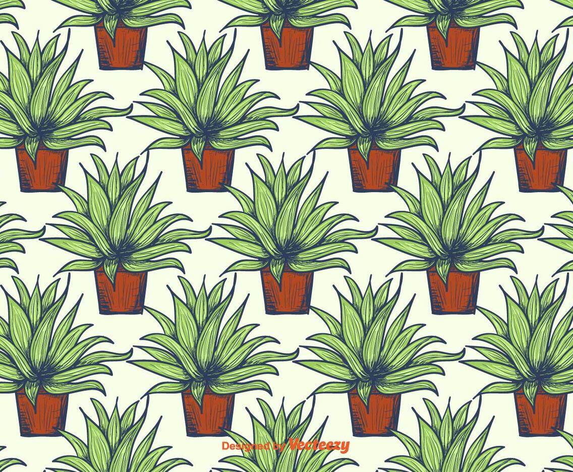 Maguey Pattern