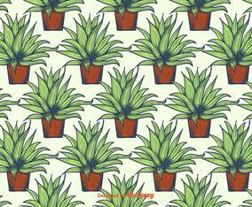 Maguey Pattern