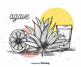 Agave Vector Background