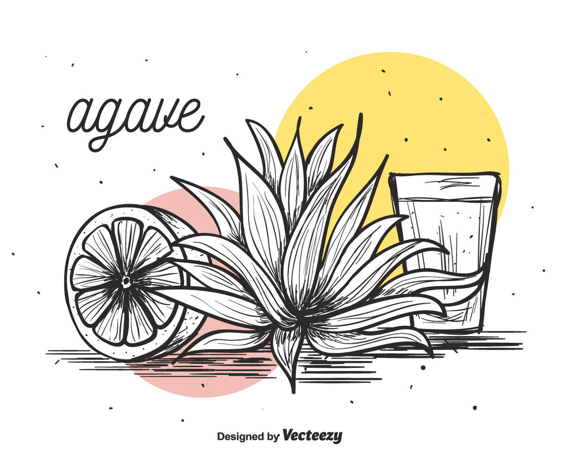 Agave Vector Background