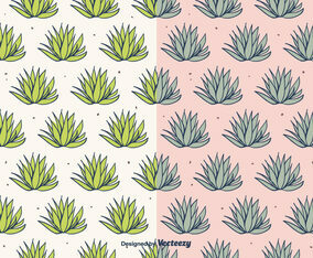 Maguey Vector Pattern