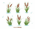 Cattails Set Vector