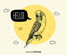 Budgie Vector