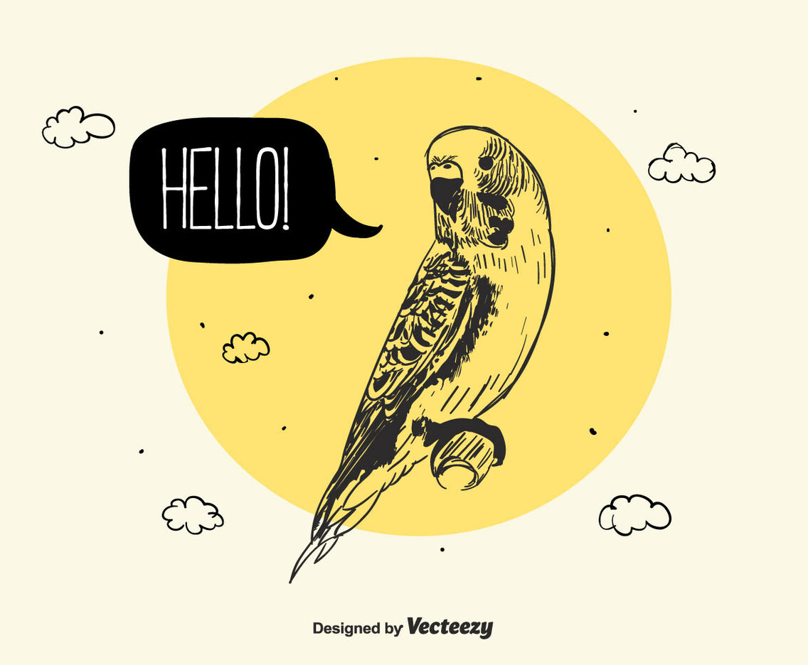 Budgie Vector