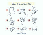 How to Tie a Bow Tie Vector