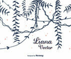 Hand Drawn Liana Vector
