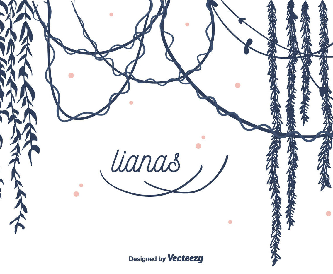 Lianas Vector