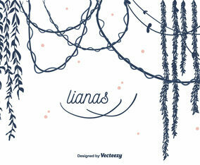 Lianas Vector