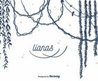 Lianas Vector