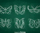 Chalkdraw Butterfly Vector Set