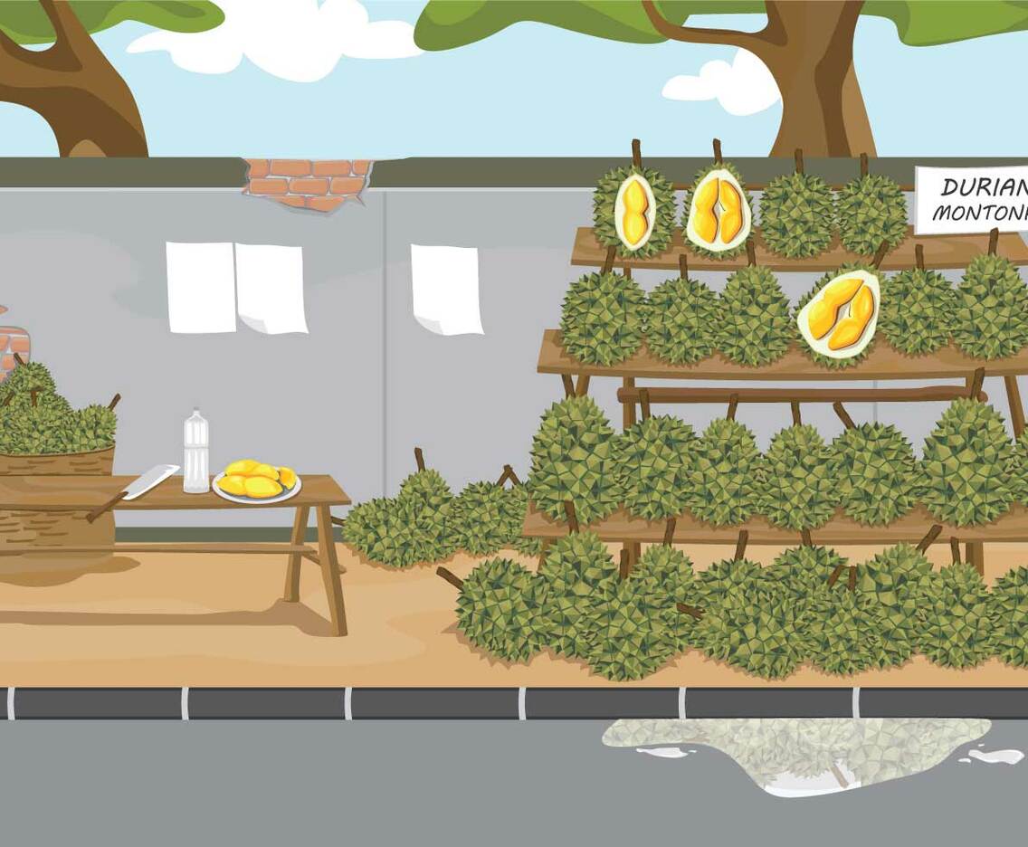 Free Durian Illustration