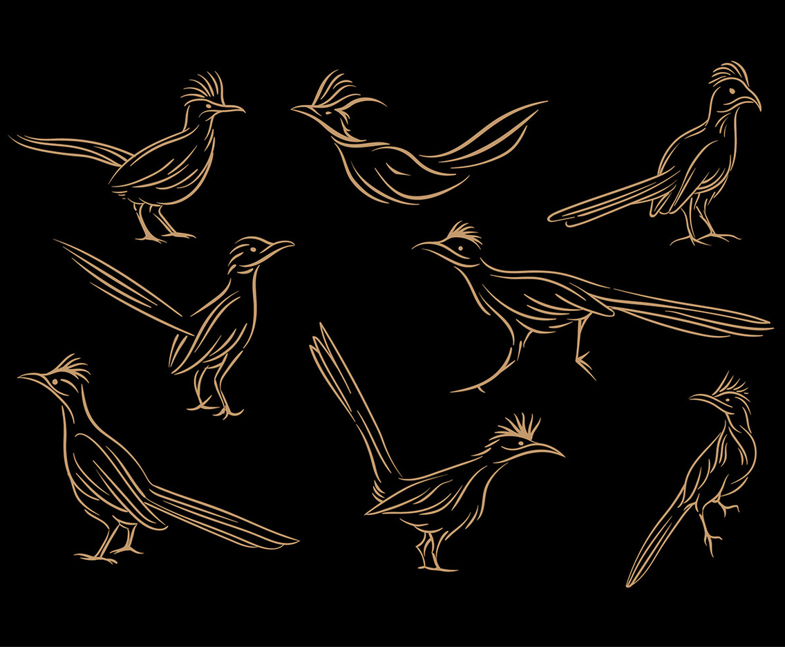 Roadrunner Line Art Vector