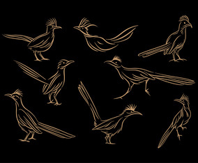 Roadrunner Line Art Vector