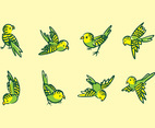 Budgie Cartoon Vector