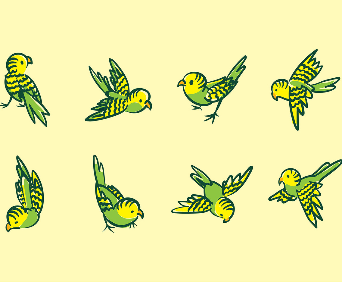 Budgie Cartoon Vector