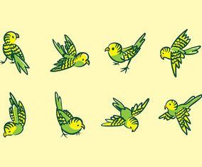 Budgie Cartoon Vector