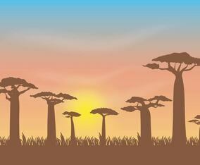 Free Baobab Vector Illustration