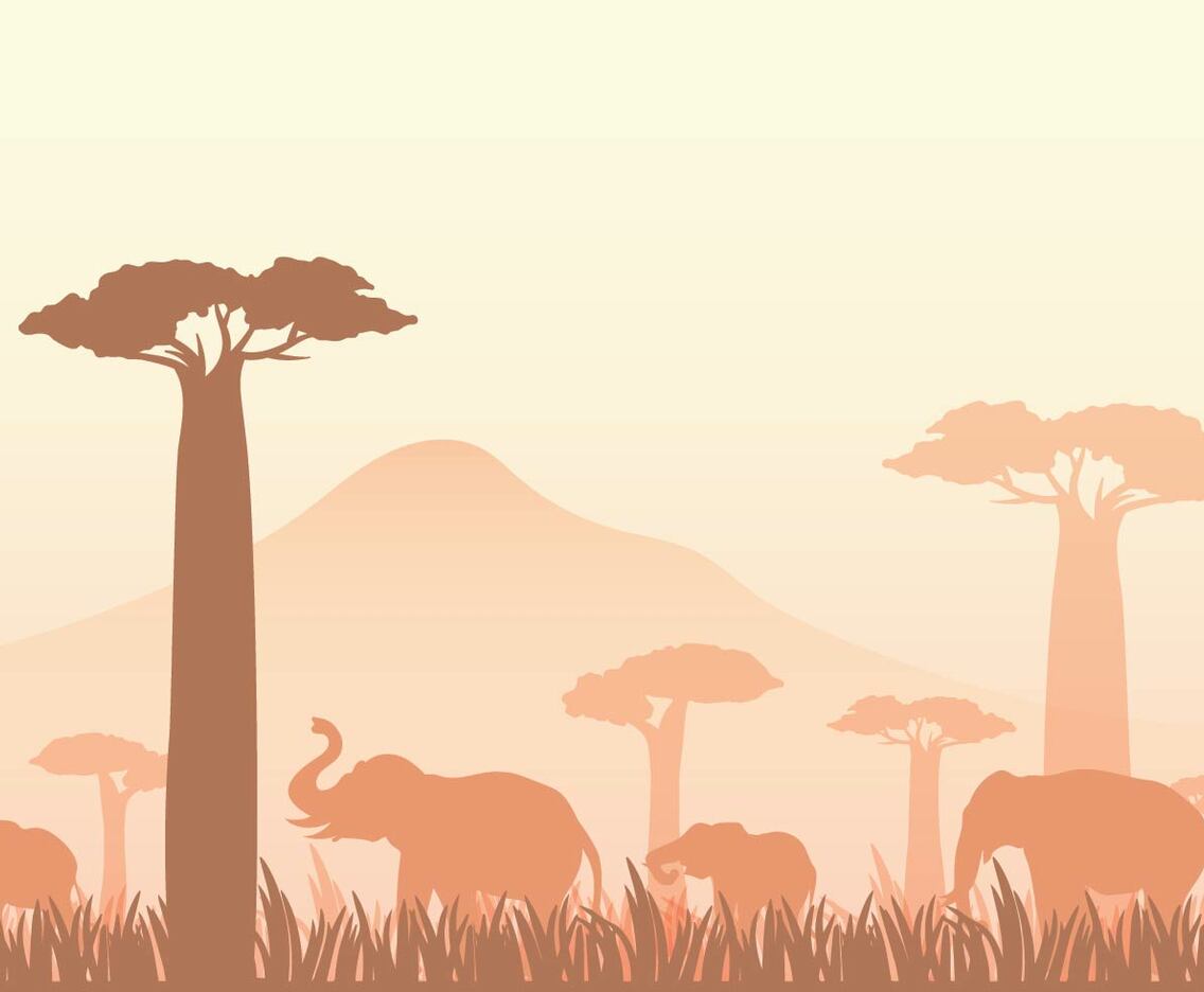 Free Baobab Vector Illustration