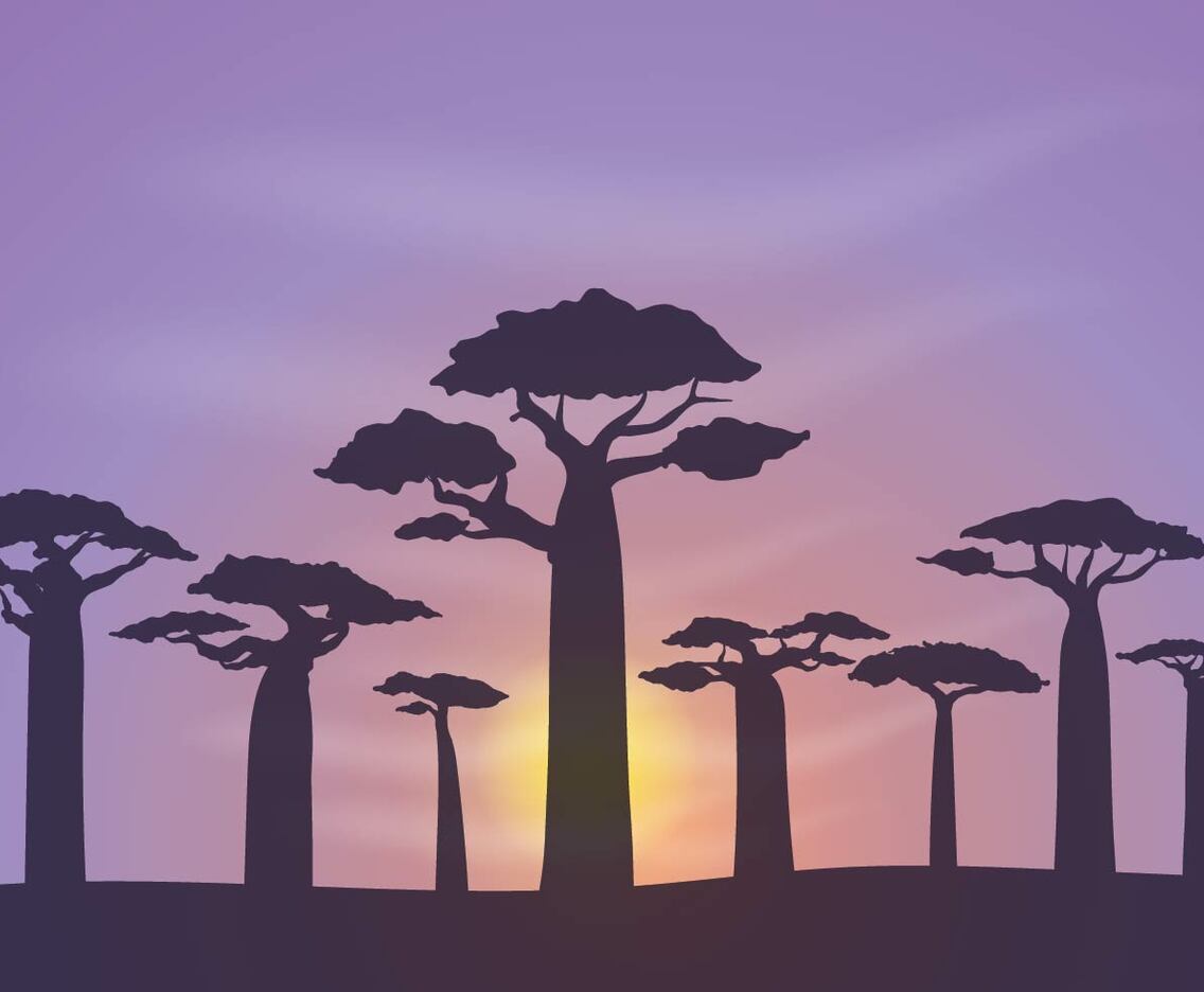 Free Baobab Background Vector