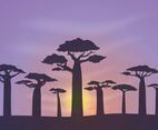 Free Baobab Background Vector
