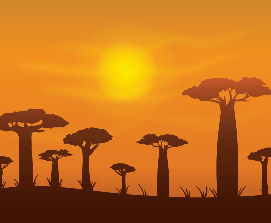 Free Baobab Vector Background