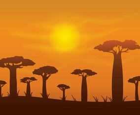 Free Baobab Vector Background