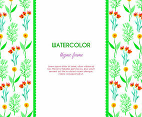 Watercolor Thyme and Flower Vector Frame